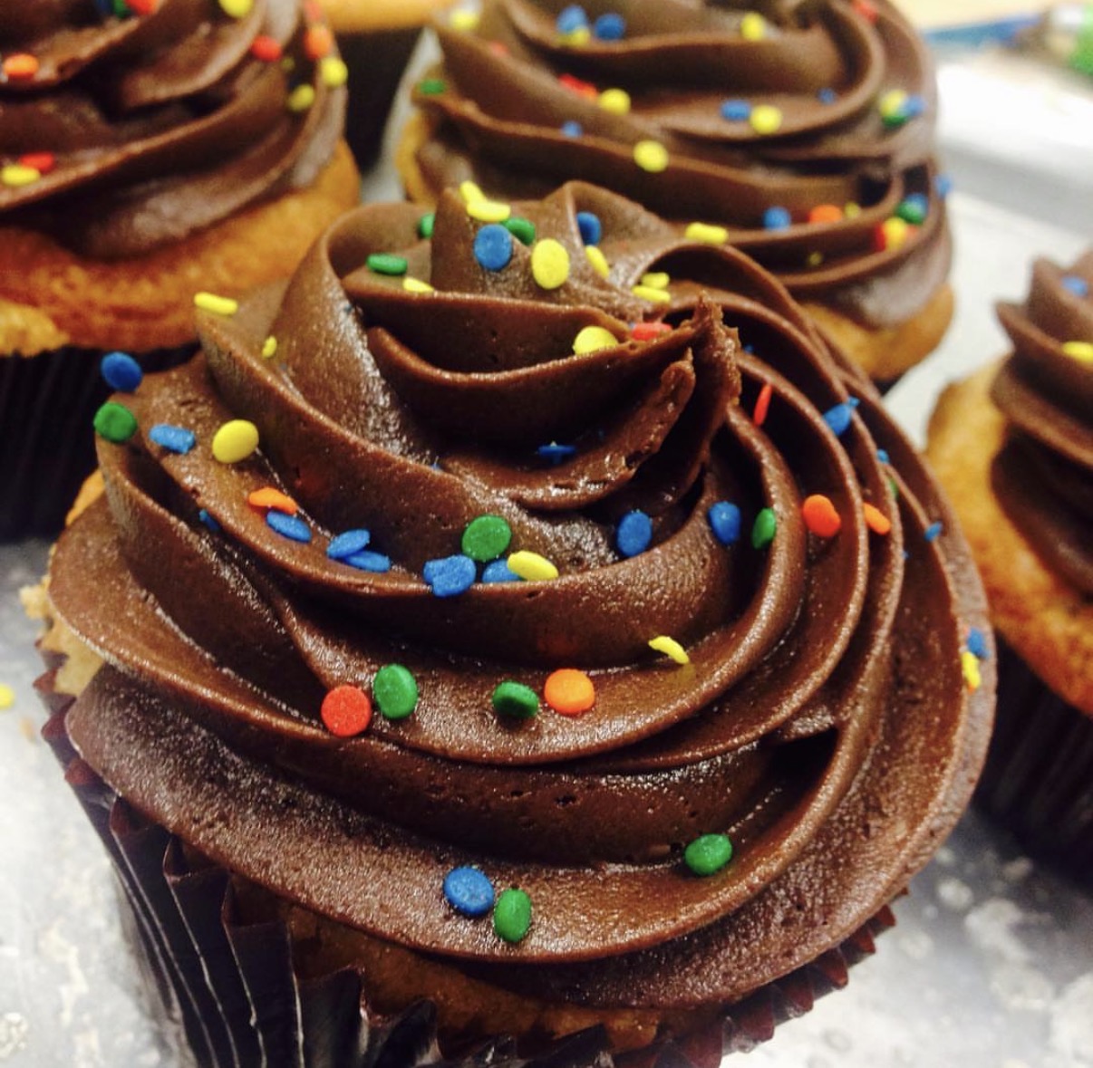Chocolate frosted cupcakes with rainbow sprinkles